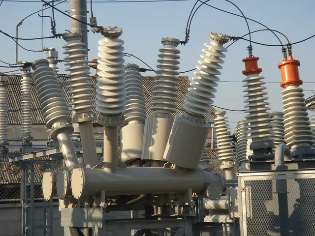 Protection des réseaux électriques