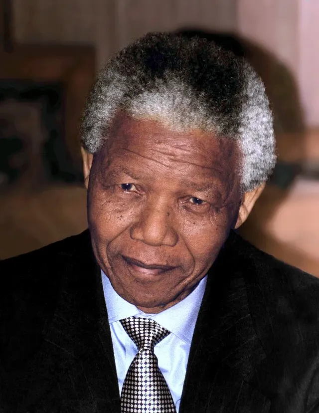 1994 South African general election