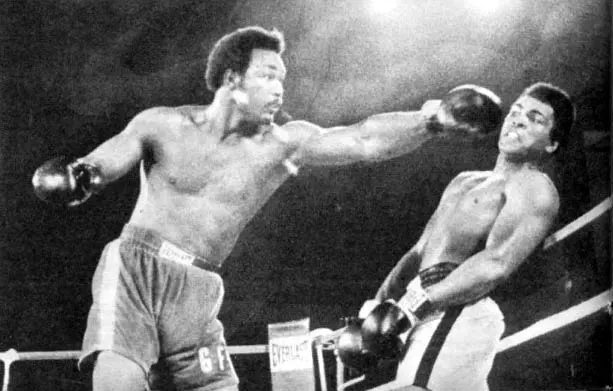 Professional boxing