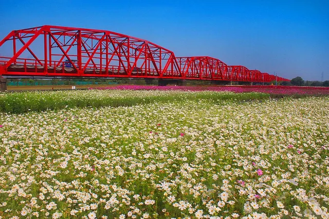 Xiluo Bridge