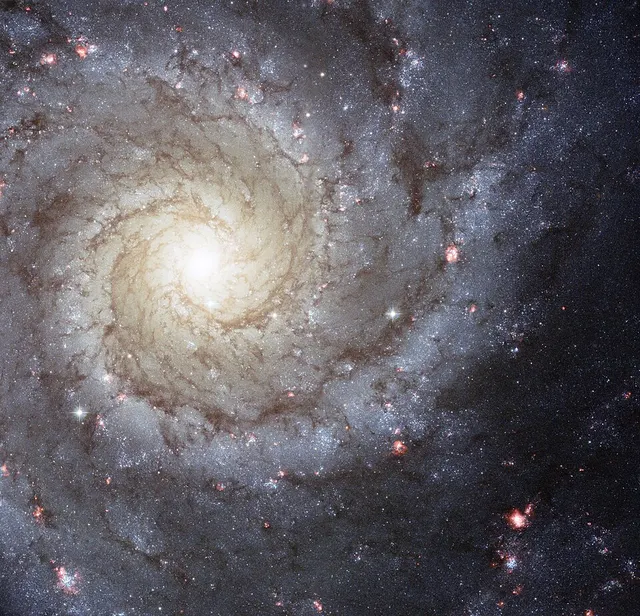 M74 Group
