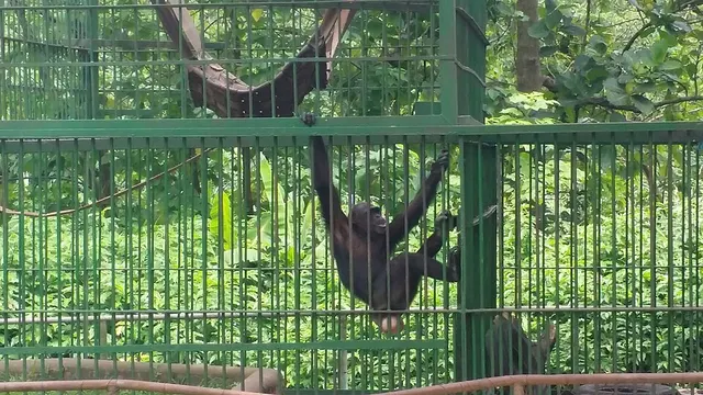 Kumasi Zoo