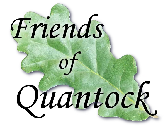 Friends of Quantock