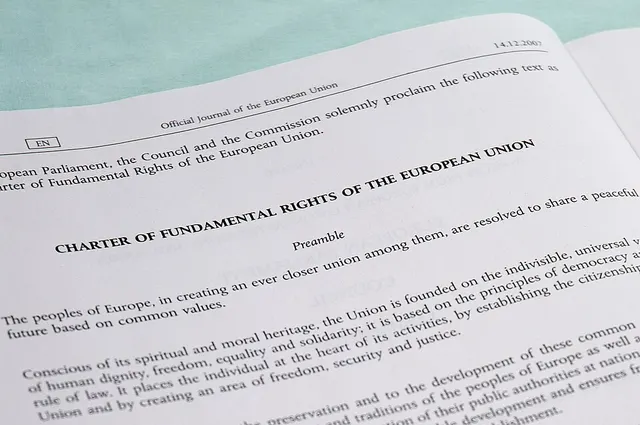 Charter of Fundamental Rights of the European Union