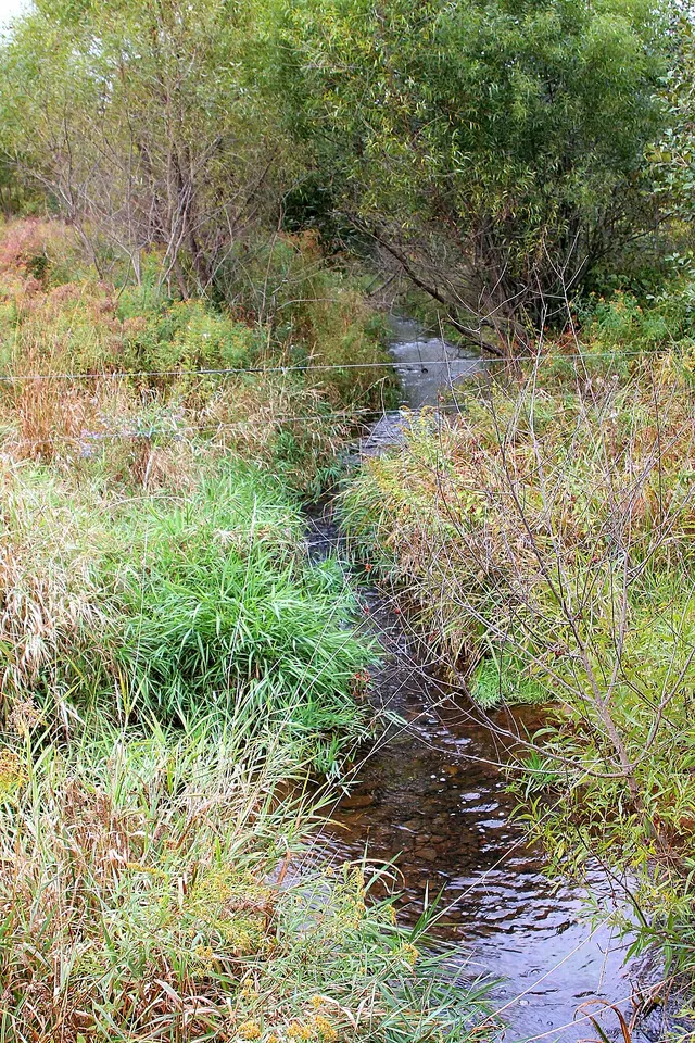 Trexler Run