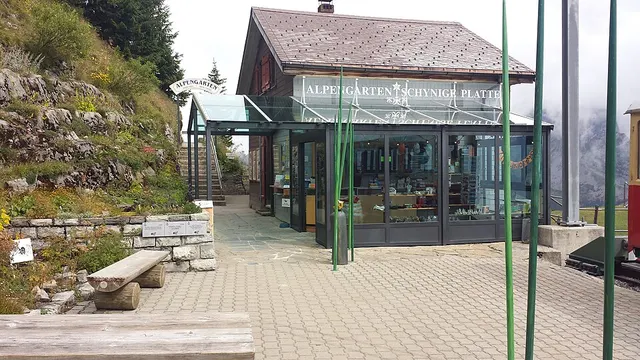 Schynige Platte Alpine Garden