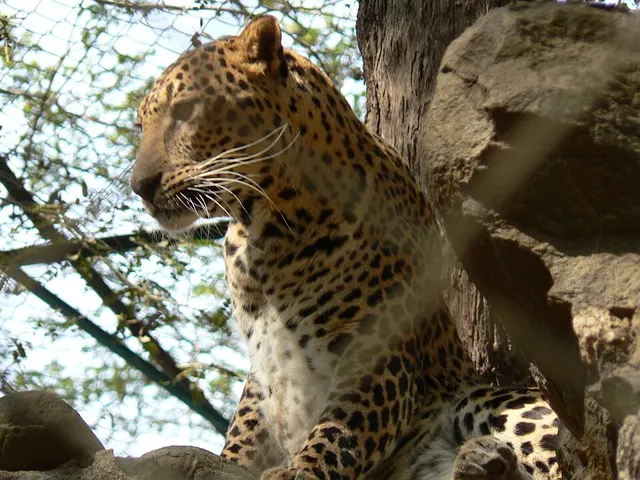 Rohtak Zoo