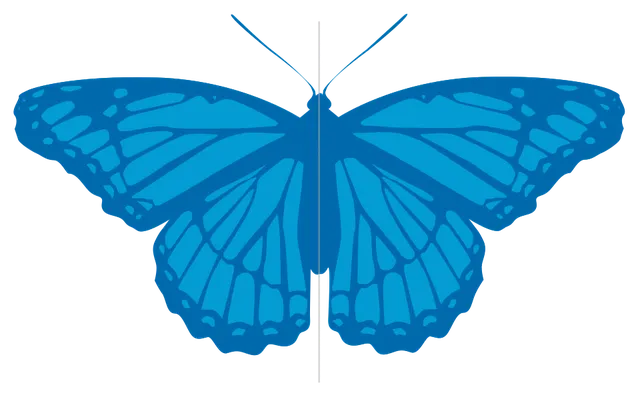 Symétrie