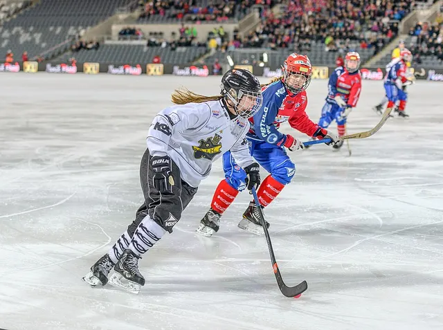 Bandy