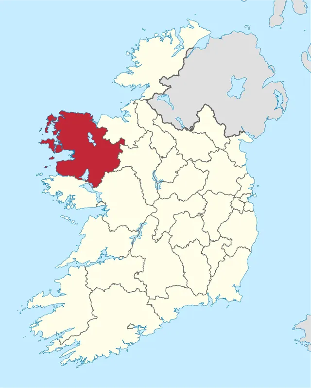 2009 Mayo County Council election