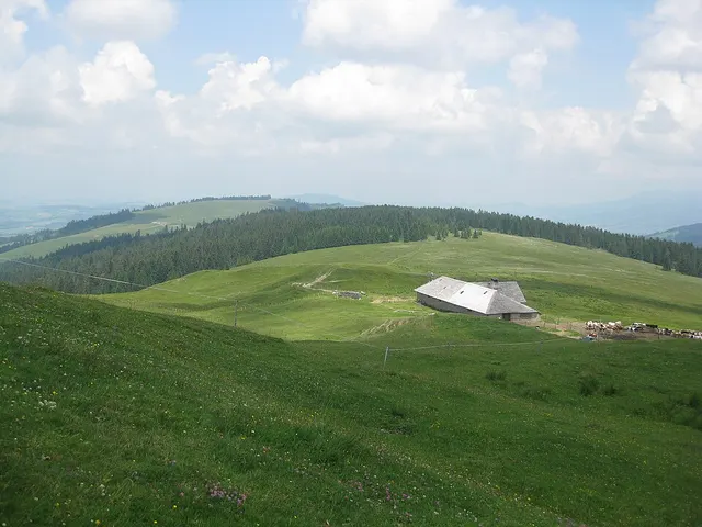 Niremont