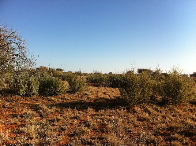 Northern Cape