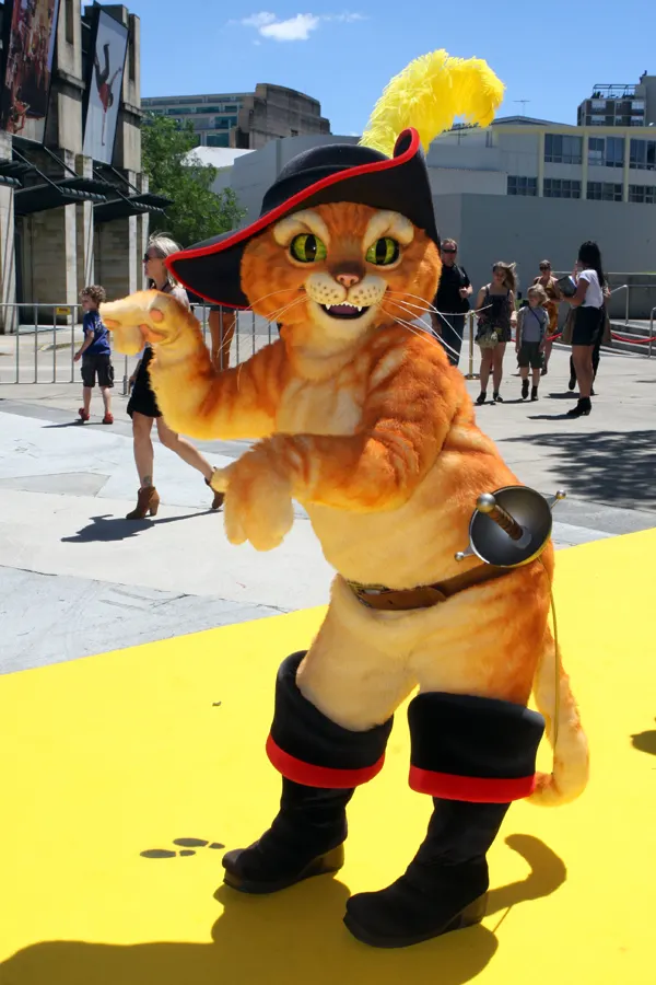 Cat suit
