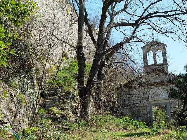 Kožljak