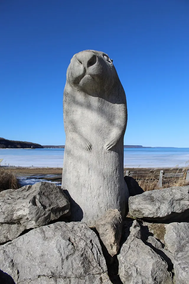 Willie de Wiarton