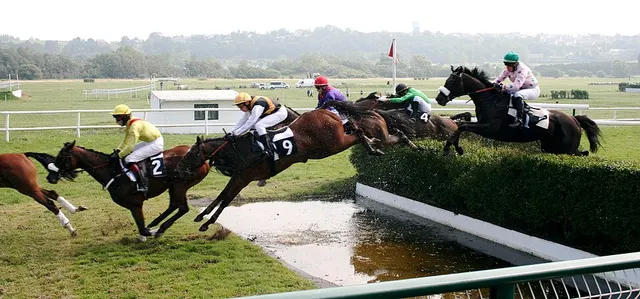 Steeple-chase