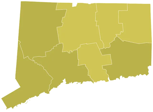 2006 United States Senate election in Connecticut