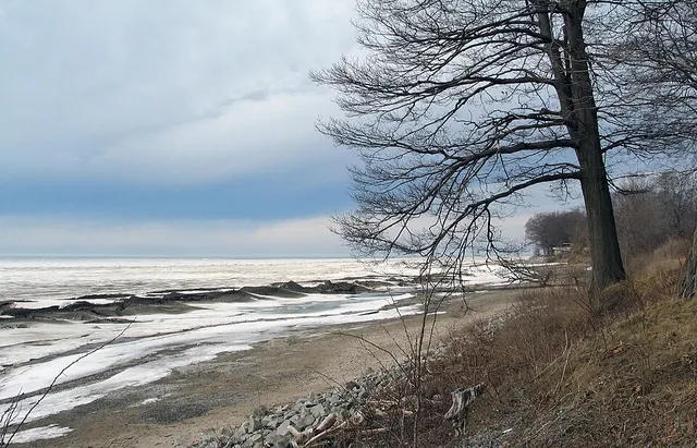 Wendt Beach Park