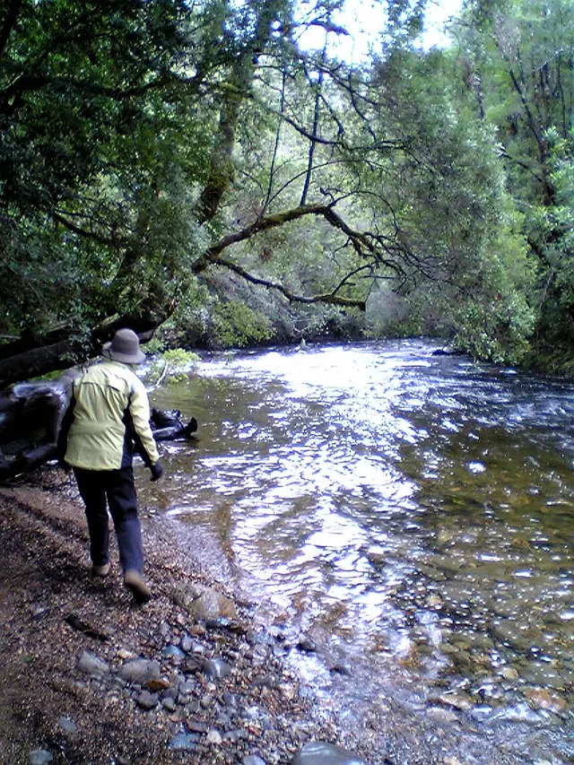 Franklin River