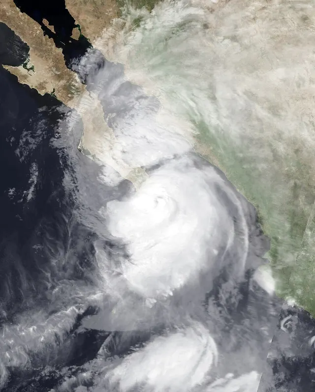 Hurricane Marty