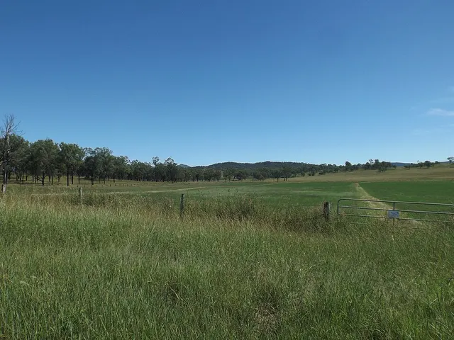 Mount Walker West, Queensland