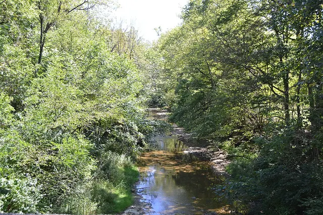 Paint Creek