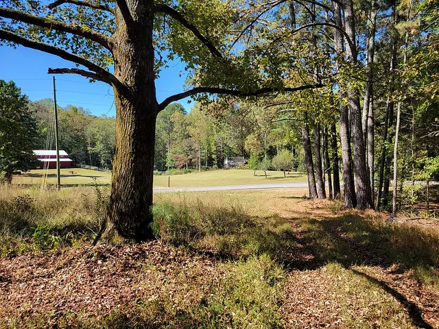 Bobo, Georgia