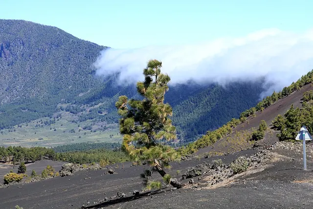 Föhn cloud
