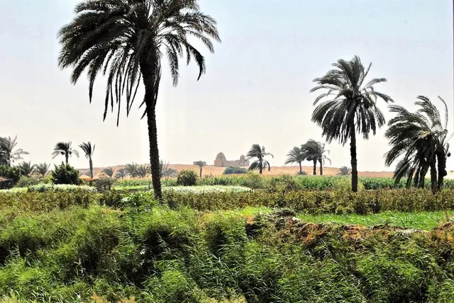 Gouvernorat du Fayoum
