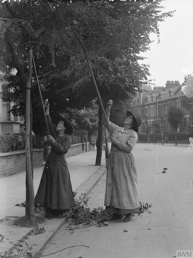 Pruning