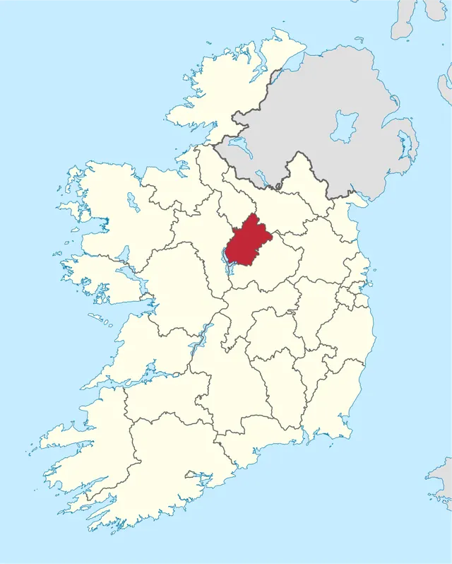 1991 Longford County Council election
