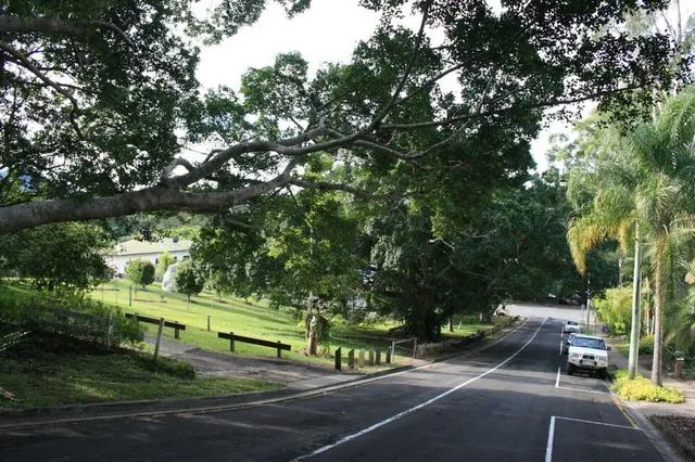 Eumundi War Memorial Trees