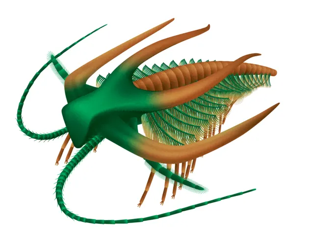 List of arthropod orders