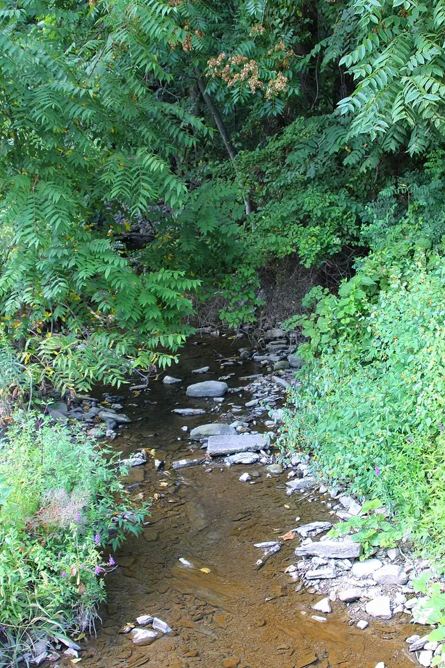 Rolling Green Run