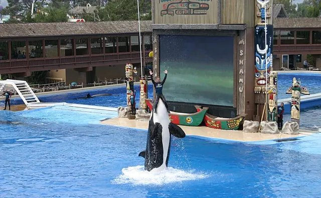 Marine mammal park