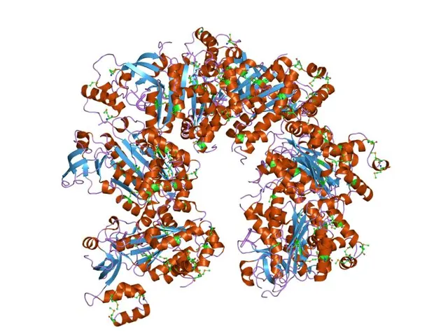 Rho factor