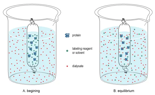 Dialysis