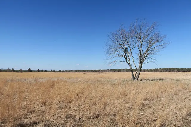 Frances A. Crane Wildlife Management Area