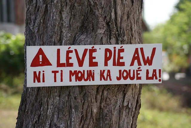 Creole language