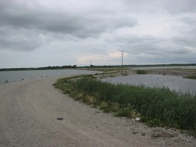 Estonian national road 10