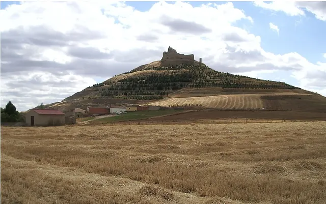Munio Núñez de Castille