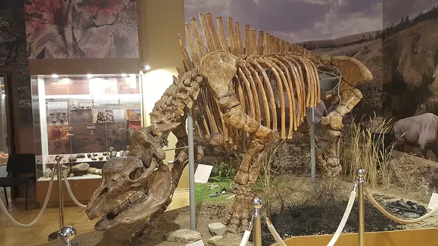 Elasmotherium