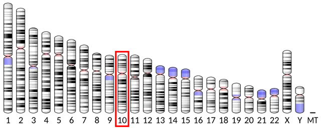 Zinc finger protein 438