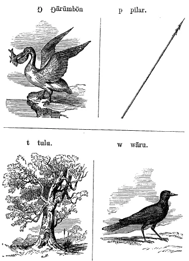 Transcription of Australian Aboriginal languages