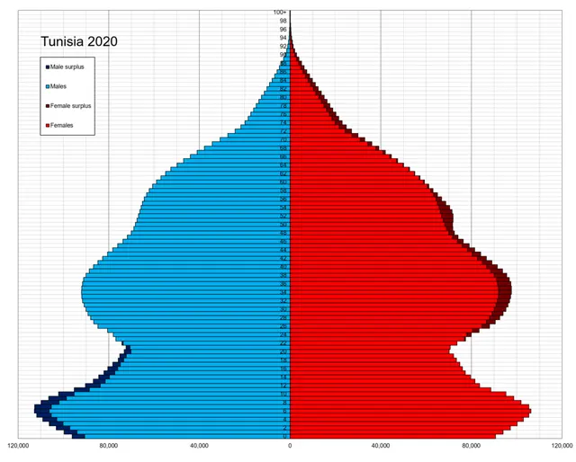Demographics of Tunisia