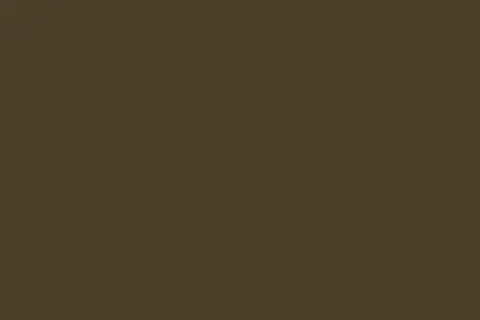 Pantone 448 C