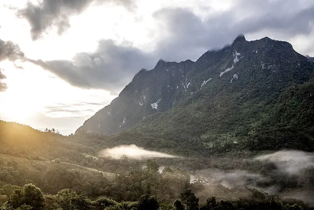Chiang Dao Wildlife Sanctuary