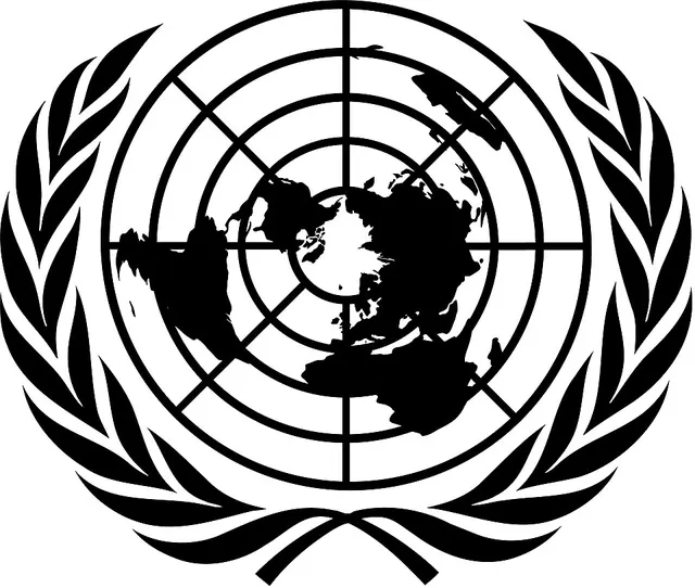 United Nations Security Council Resolution 2098