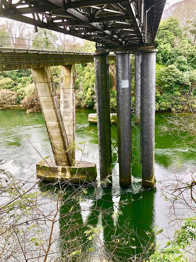 Claudelands Bridge