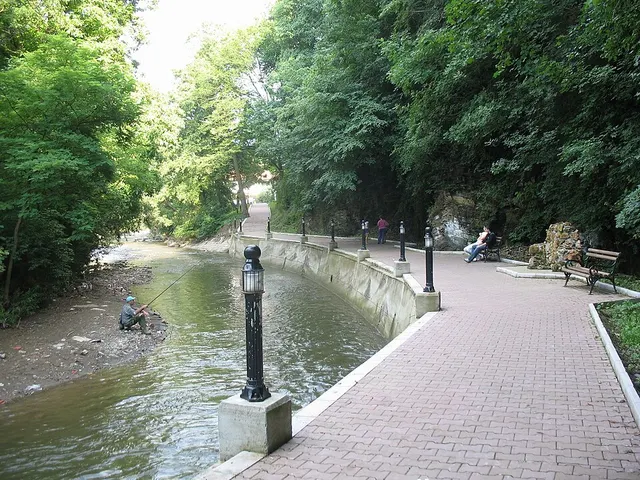 Rasina